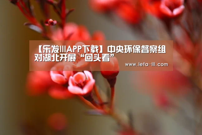 【乐发lllAPP下载】中央环保督察组对湖北开展“回头看”(图4) 乐发lllAPP下载