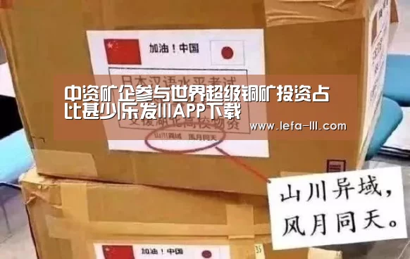 中资矿企参与世界超级铜矿投资占比甚少|乐发lllAPP下载(图3) 乐发lll官方入口